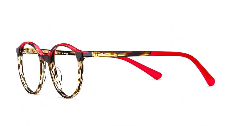 Etnia Barcelona NARA 19 Eyeglasses - view 11